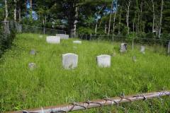Wise Cemetery, Altamont, Avery County, North Carolina