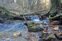 Cranberry Creek, Avery County, North-Carolina