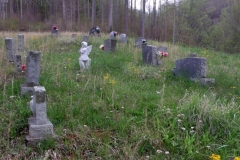Beech Bottom Mennonite Church Cemetery - Frank, Avery County, North-Carolina
