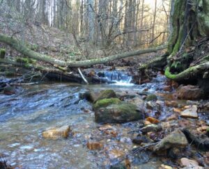 Cranberry Creek - Avery County, North Carolina