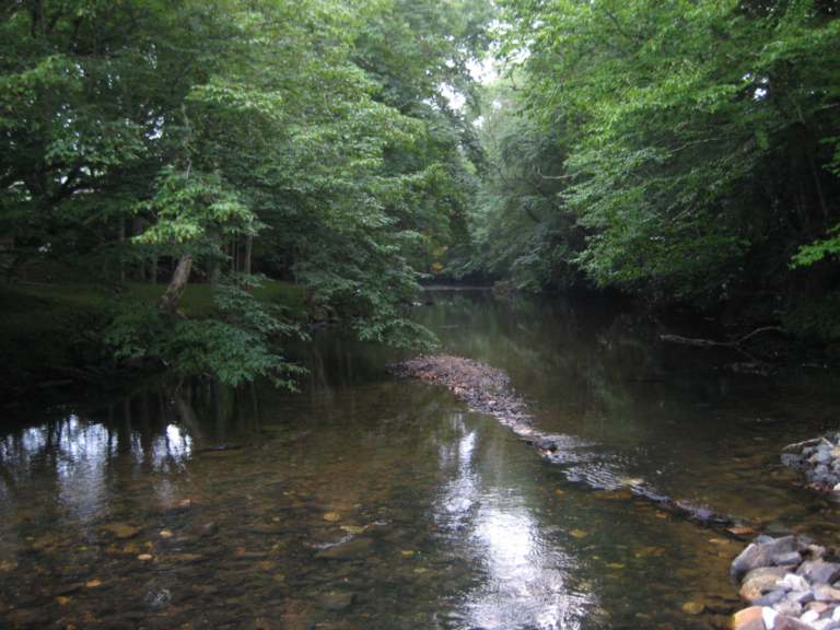 Linville River - Avery County, North Carolina